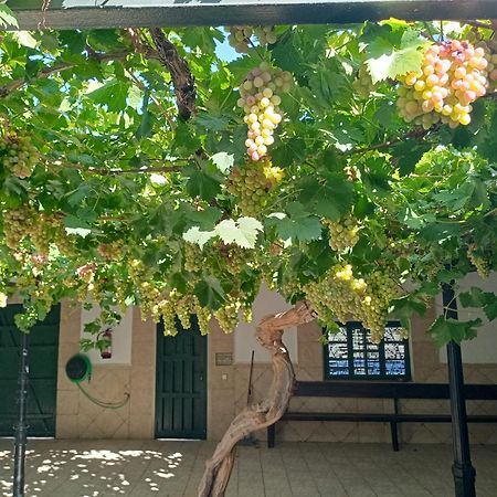 Casa Rural La Del Alba Seria Argamasilla De Alba Bagian luar foto