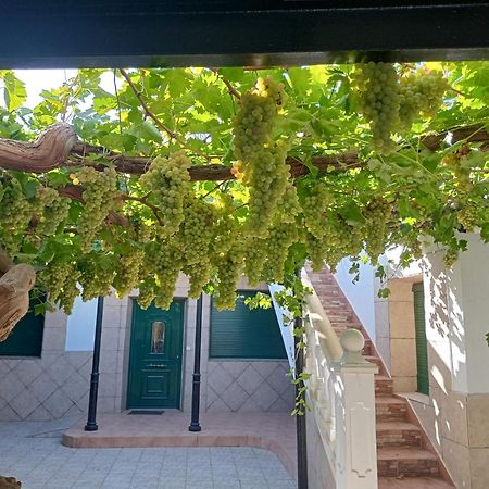 Casa Rural La Del Alba Seria Argamasilla De Alba Bagian luar foto