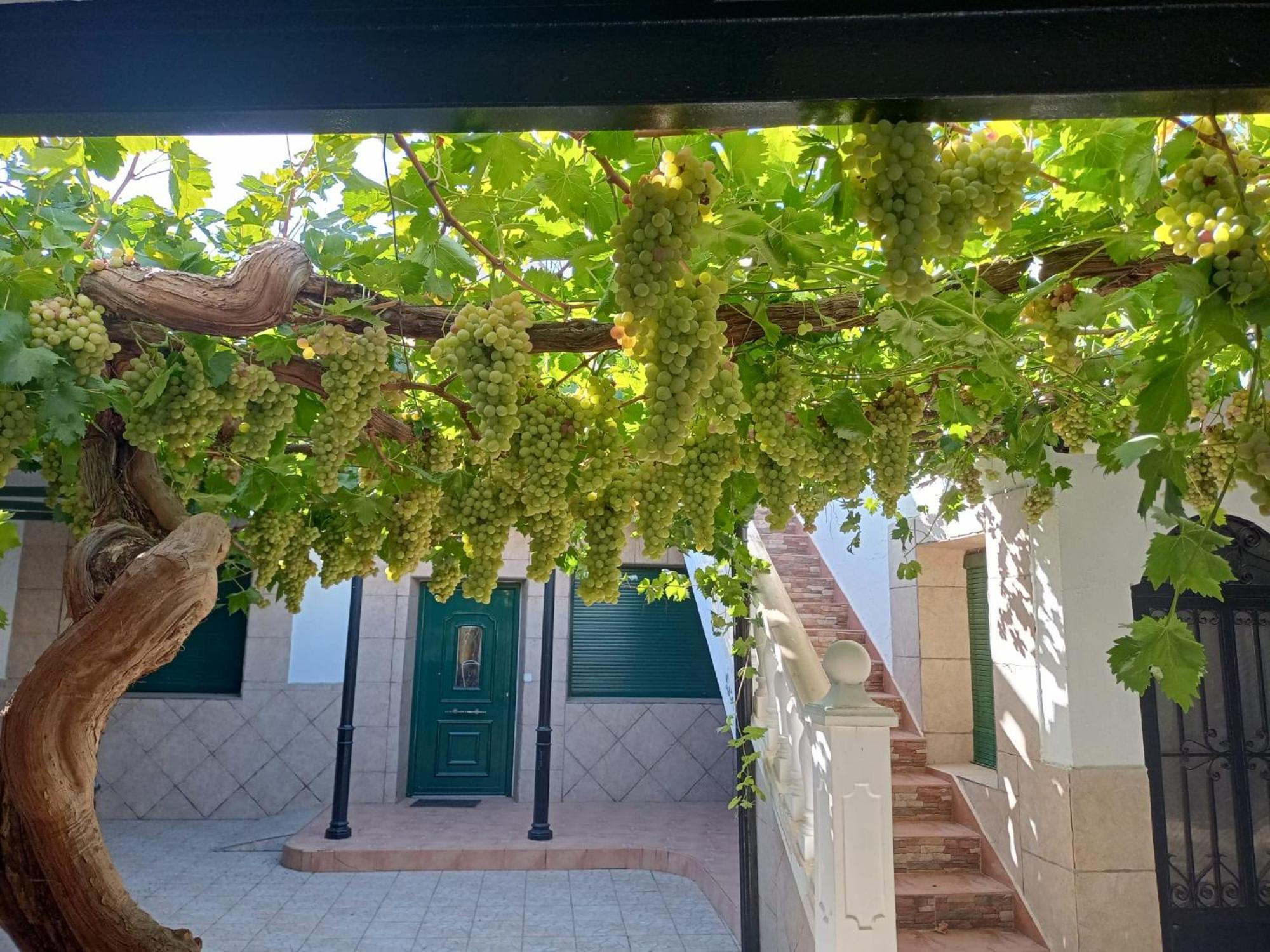 Casa Rural La Del Alba Seria Argamasilla De Alba Bagian luar foto